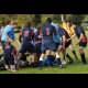 image 16 of 61